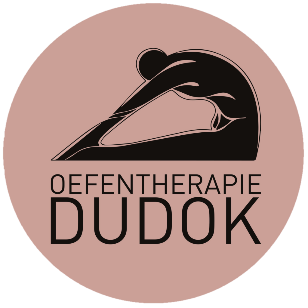 Logo Oefentherapie Dudok